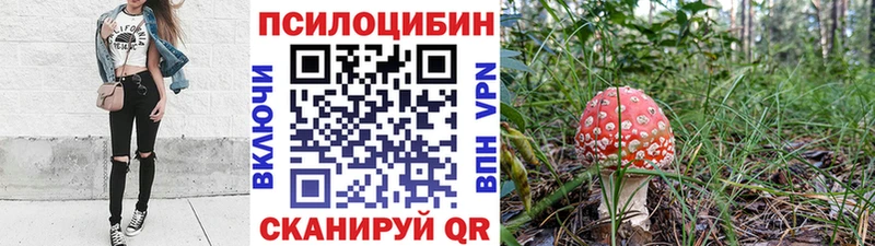 что такое наркотик  Баксан  Псилоцибиновые грибы Cubensis 